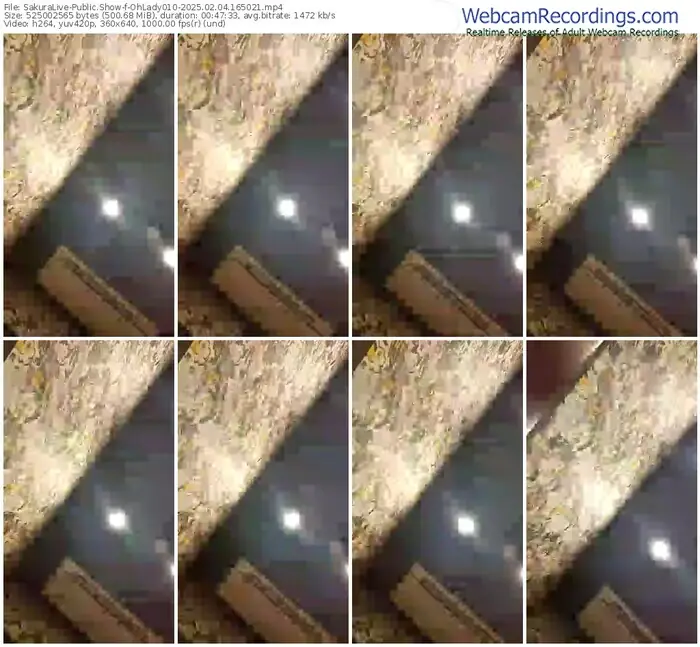 2025/02/04/sakuralivejp-ohlady010-16-50-21