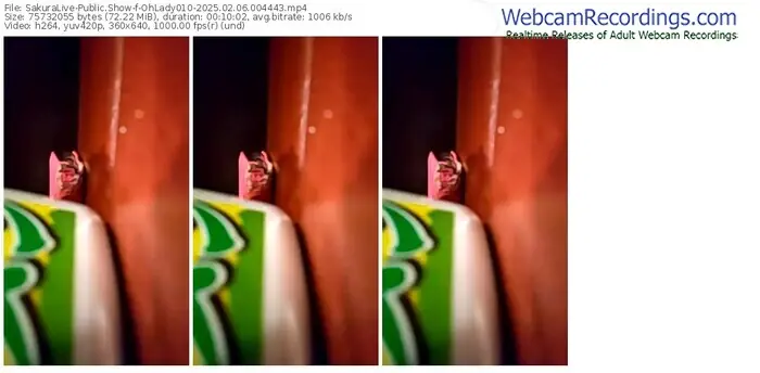 2025/02/06/sakuralivejp-ohlady010-00-44-43