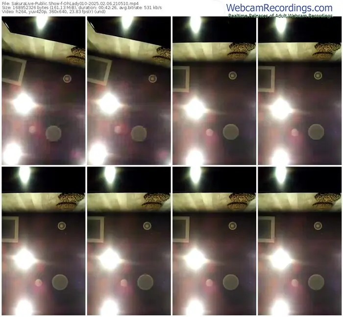 2025/02/06/sakuralivejp-ohlady010-21-05-10