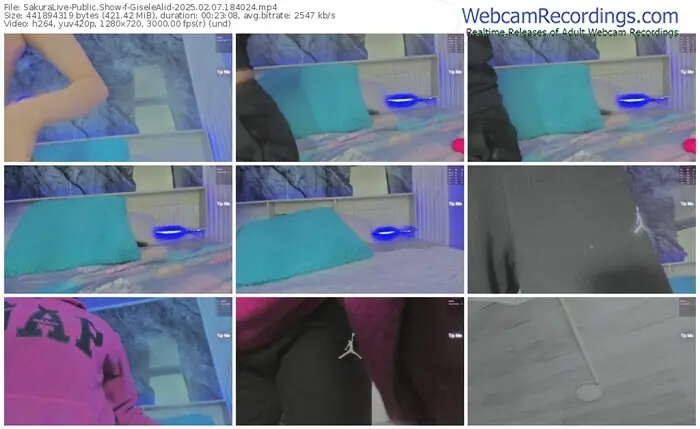 2025/02/07/sakuralivejp-giselealid-18-40-24