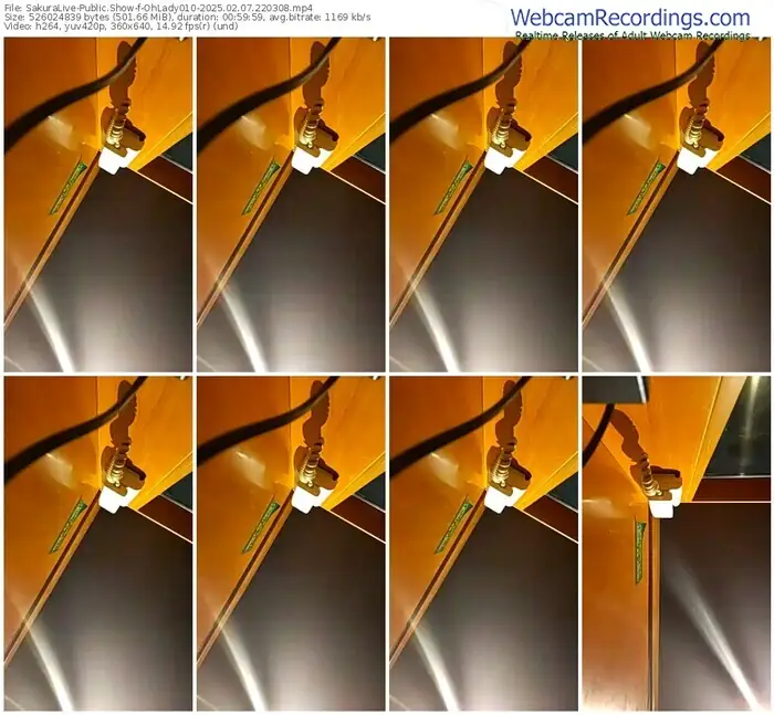 2025/02/07/sakuralivejp-ohlady010-22-03-08