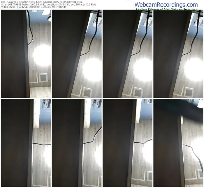 2025/02/09/sakuralivejp-ohlady010-01-20-04