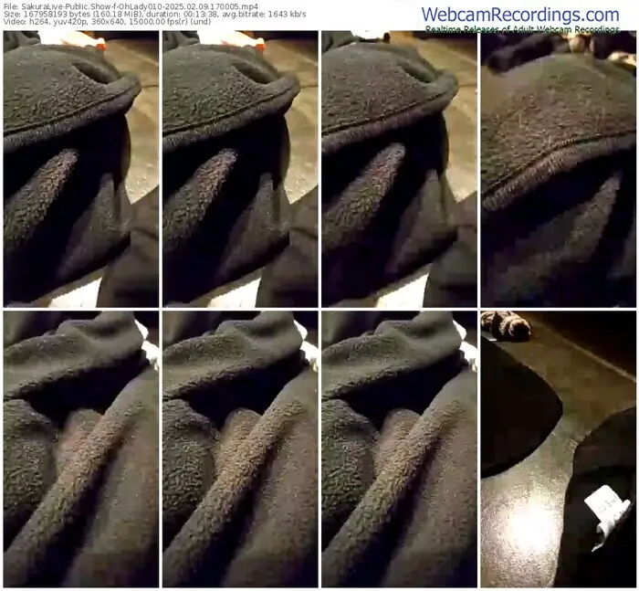 2025/02/09/sakuralivejp-ohlady010-17-00-05