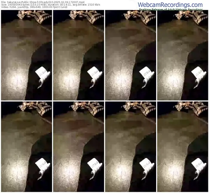 2025/02/09/sakuralivejp-ohlady010-17-20-07