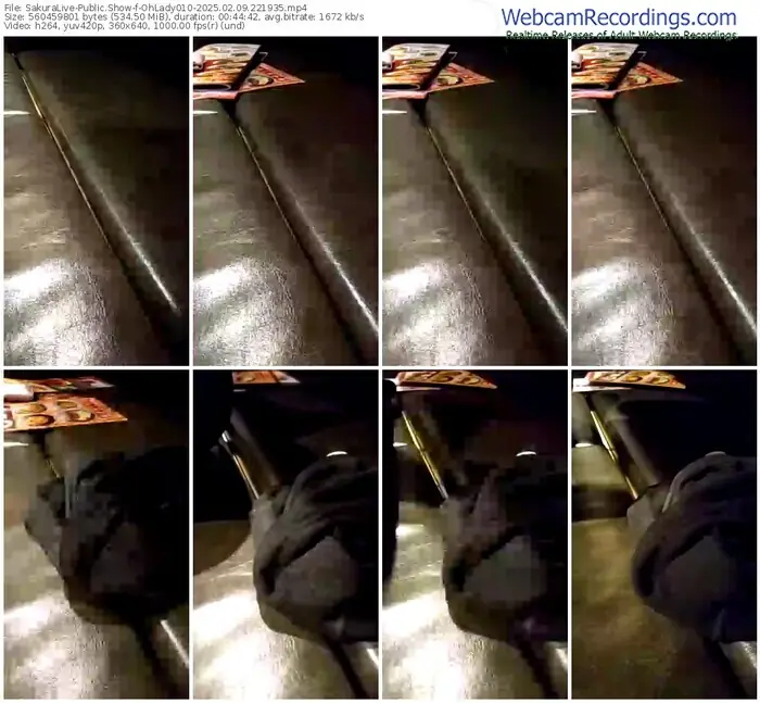 2025/02/09/sakuralivejp-ohlady010-22-19-35