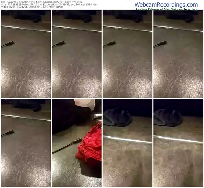 2025/02/10/sakuralivejp-ohlady010-00-10-29