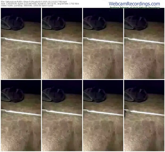 2025/02/10/sakuralivejp-ohlady010-01-17-08