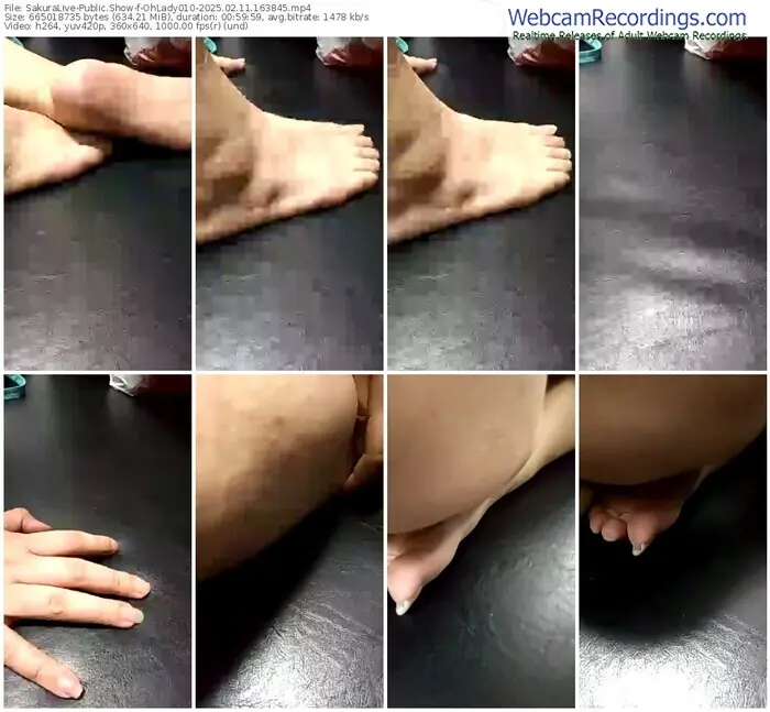 2025/02/11/sakuralivejp-ohlady010-16-38-45