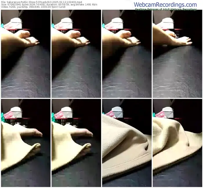 2025/02/12/sakuralivejp-ohlady010-10-24-03