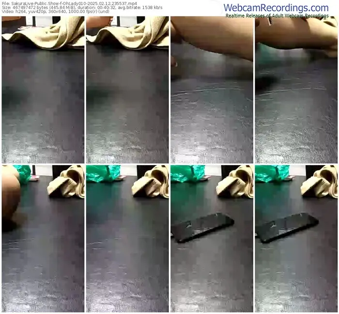 2025/02/12/sakuralivejp-ohlady010-23-55-37