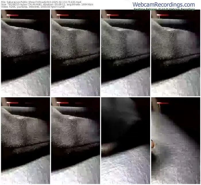 2025/02/13/sakuralivejp-ohlady010-17-14-20