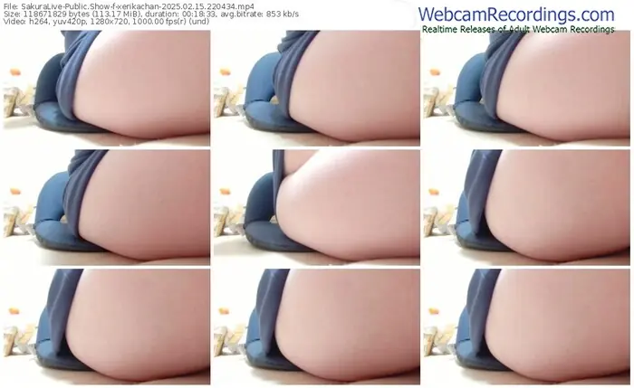 2025/02/15/sakuralivejp-xerikachan-22-04-34