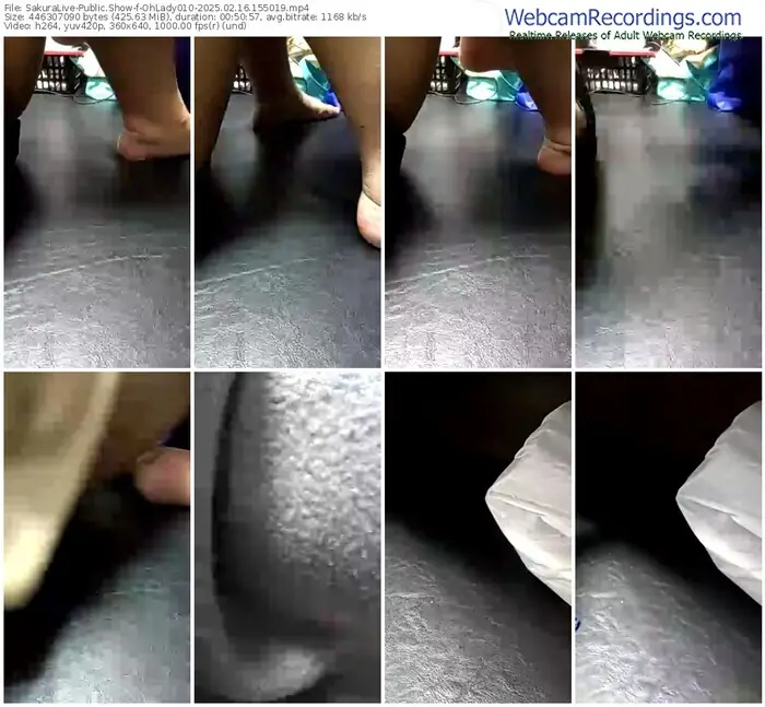 2025/02/16/sakuralivejp-ohlady010-15-50-19