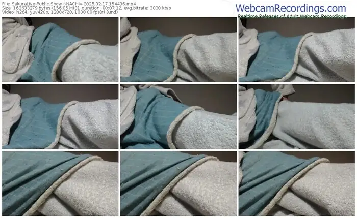 2025/02/17/sakuralivejp-nachiv-15-44-36