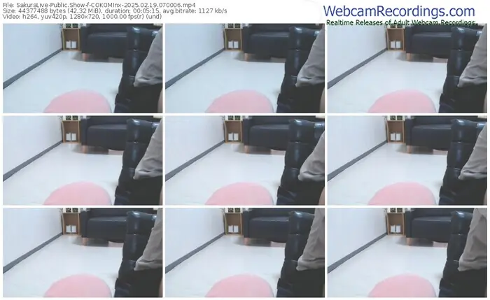 2025/02/19/sakuralivejp-cokominx-07-00-06