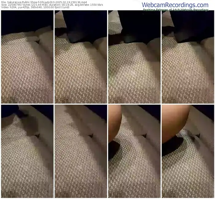 2025/02/19/sakuralivejp-ohlady010-15-01-36