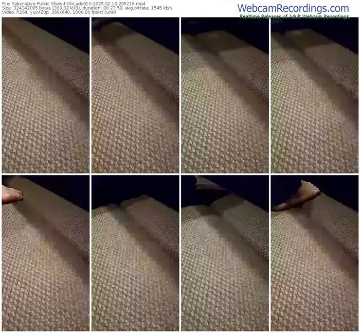 2025/02/19/sakuralivejp-ohlady010-20-52-16