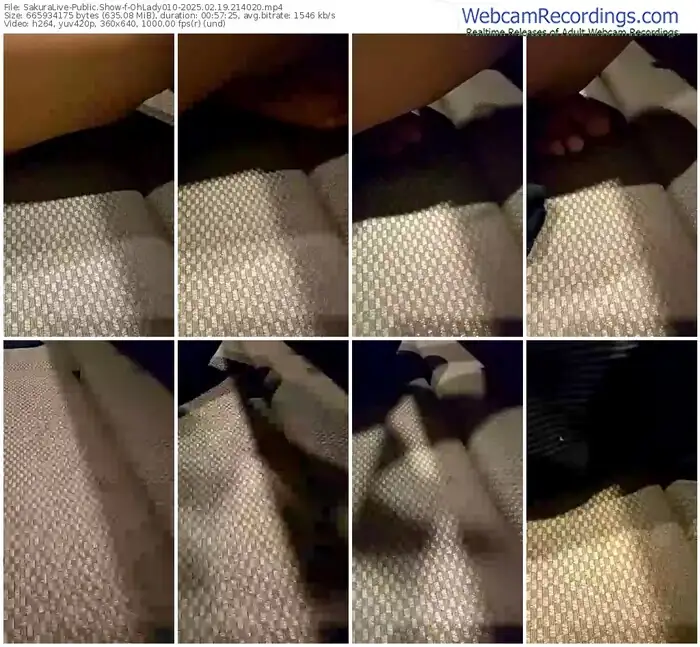 2025/02/19/sakuralivejp-ohlady010-21-40-20