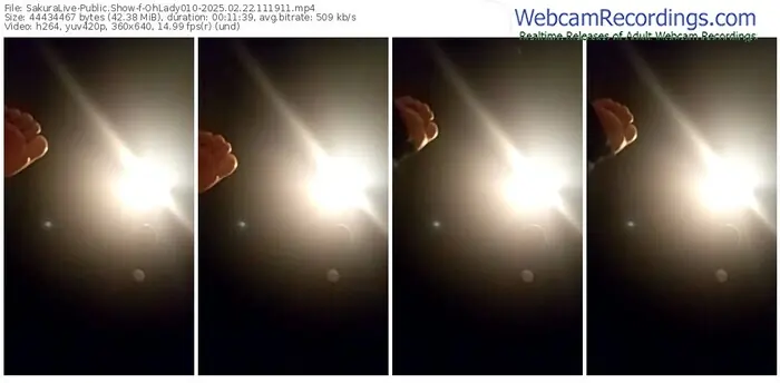 2025/02/22/sakuralivejp-ohlady010-11-19-11