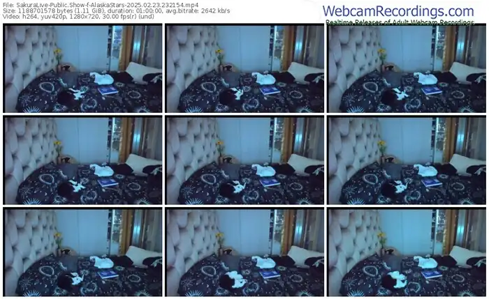 2025/02/23/sakuralivejp-alaskastars-23-21-54