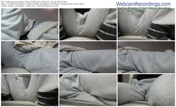 2025/02/23/sakuralivejp-nachiv-21-47-33