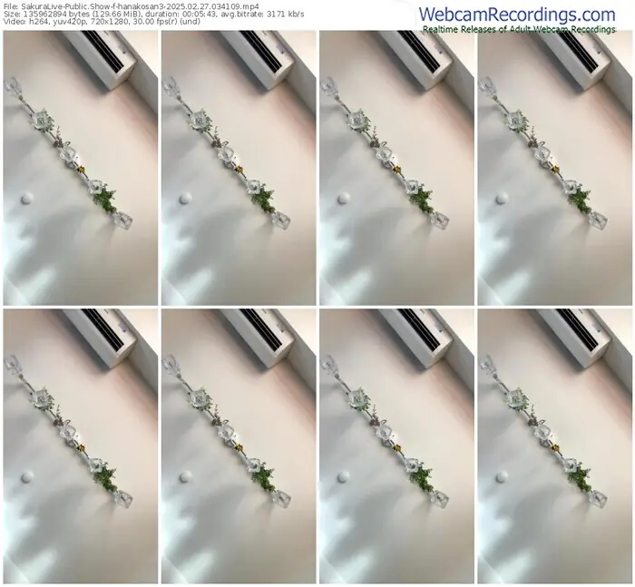 2025/02/27/sakuralivejp-hanakosan3-03-41-09