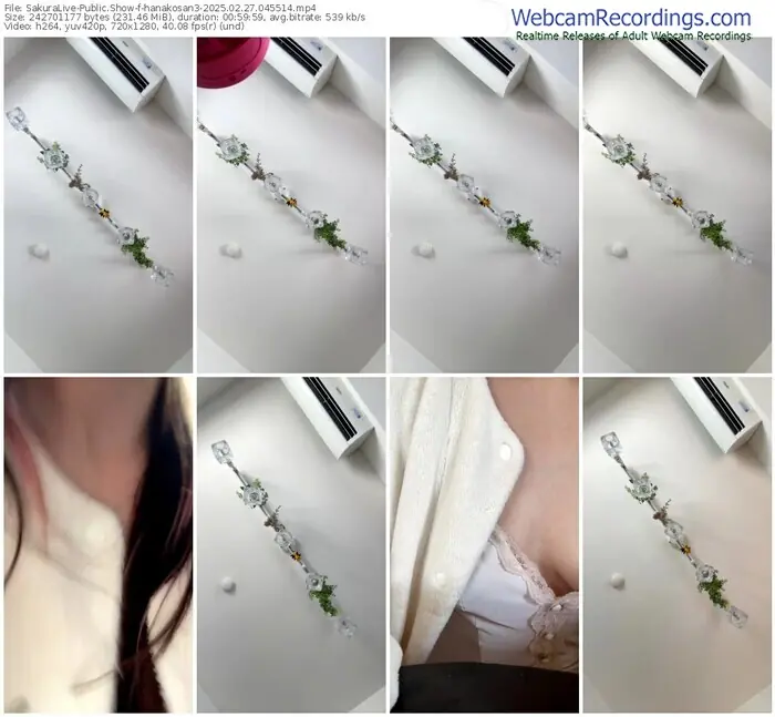2025/02/27/sakuralivejp-hanakosan3-04-55-14