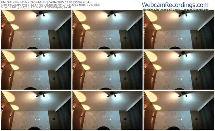 2025/03/10/sakuralivejp-biancacastle-19-53-04