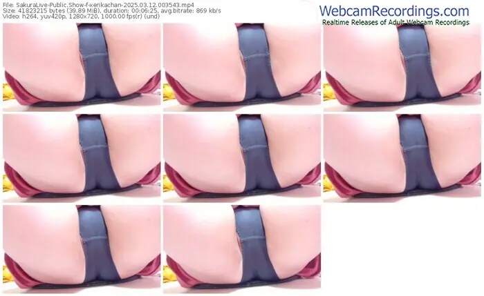 2025/03/12/sakuralivejp-xerikachan-00-35-43