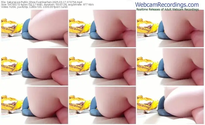 2025/03/17/sakuralivejp-xerikachan-07-37-54