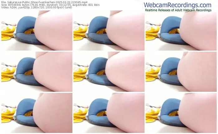 2025/03/22/sakuralivejp-xerikachan-22-30-45