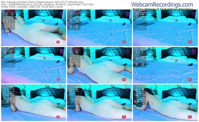 2025/03/27/sakuralivejp-artemisaleon-06-59-30