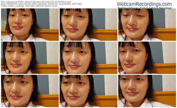 2025/03/29/sakuralivejp-decopon20-09-46-14