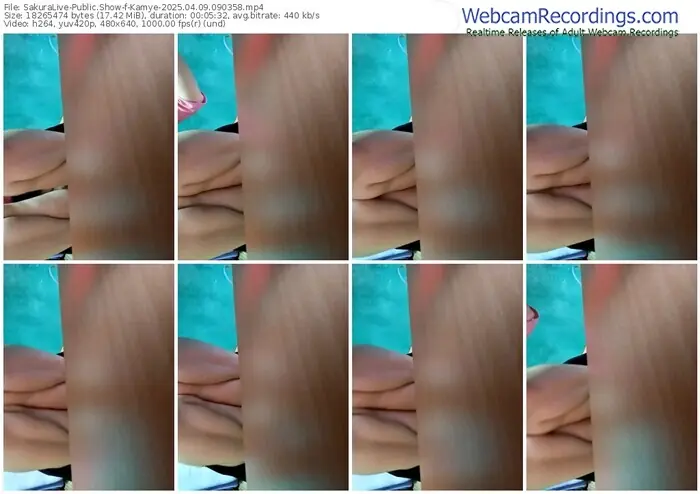 2025/04/09/sakuralivejp-kamye-09-03-58