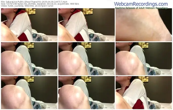 2025/04/09/sakuralivejp-hana701-14-47-17