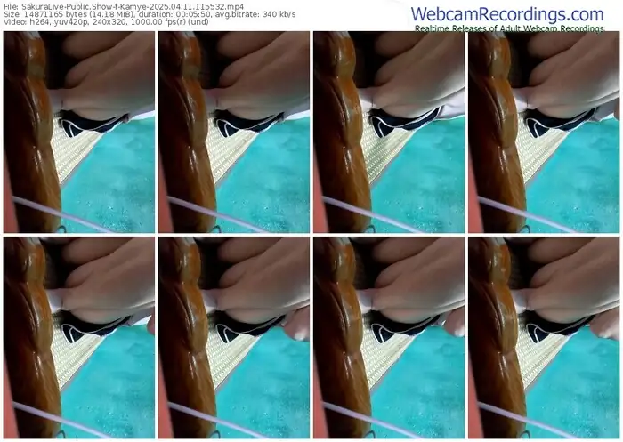 2025/04/11/sakuralivejp-kamye-11-55-32