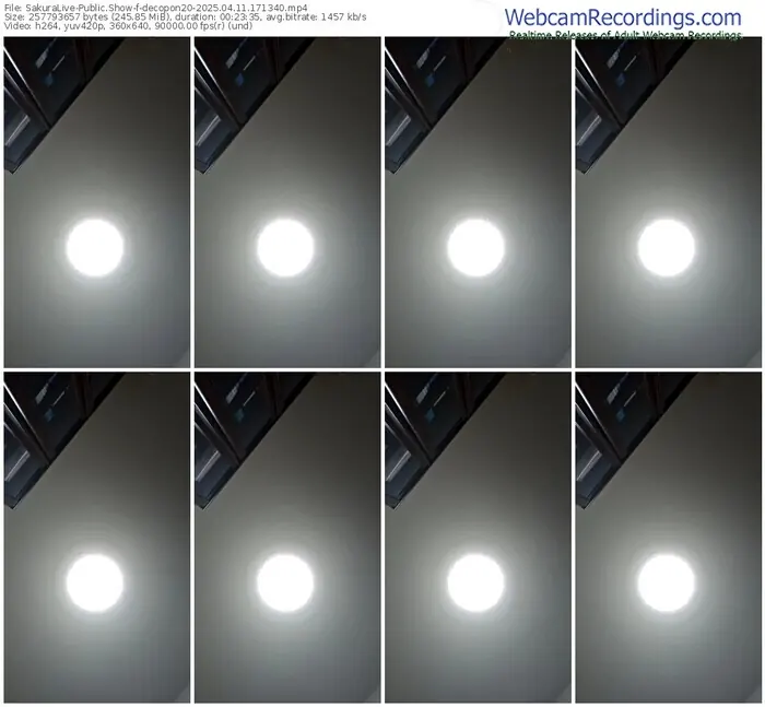 2025/04/11/sakuralivejp-decopon20-17-13-40