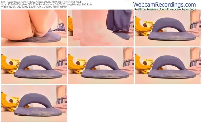 2025/04/12/sakuralivejp-xerikachan-05-33-50