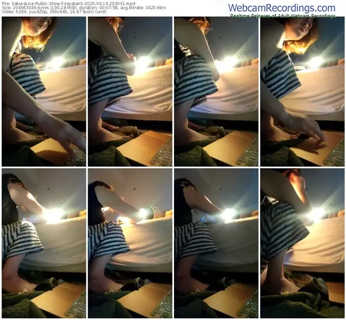 2025/04/14/sakuralivejp-sayatan5-20-30-31