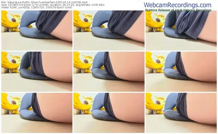 2025/04/14/sakuralivejp-xerikachan-22-20-38