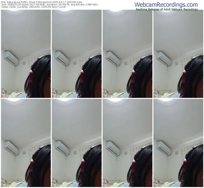 2025/04/17/sakuralivejp-decopon20-20-59-39