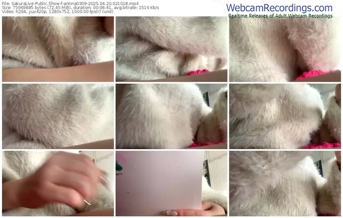 2025/04/20/sakuralivejp-annna0309-02-10-18