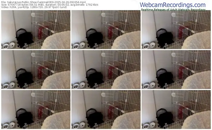 2025/04/26/sakuralivejp-annna0309-09-16-54