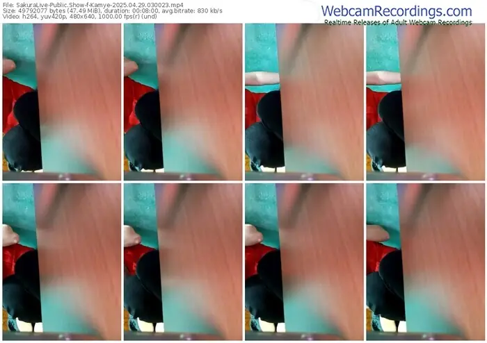 2025/04/29/sakuralivejp-kamye-03-00-23