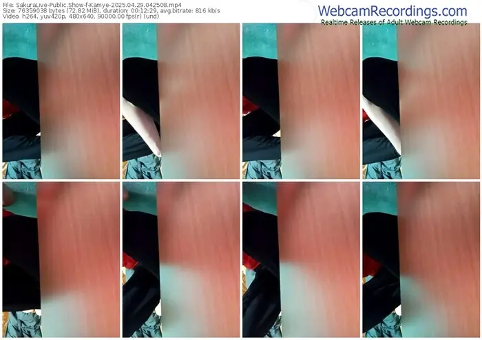 2025/04/29/sakuralivejp-kamye-04-25-08