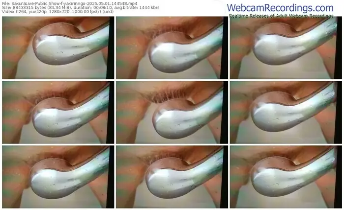 2025/05/01/sakuralivejp-yakirinngo-14-45-48