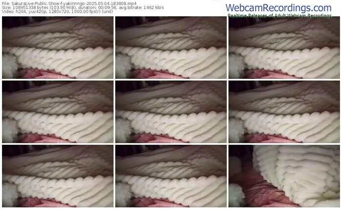 2025/05/04/sakuralivejp-yakirinngo-18-38-08