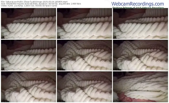 2025/05/04/sakuralivejp-yakirinngo-18-58-04