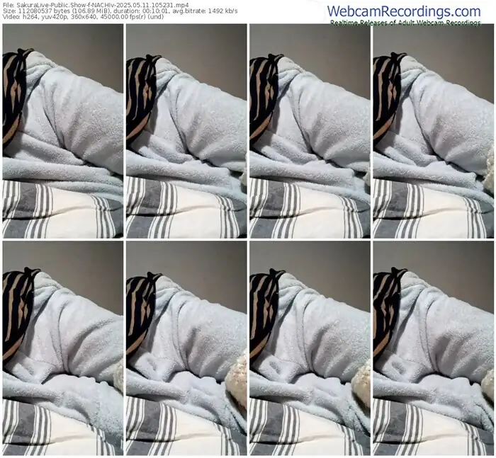 2025/05/11/sakuralivejp-nachiv-10-52-31