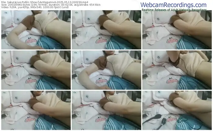 2025/05/13/sakuralivejp-axmegumixa-20-02-39